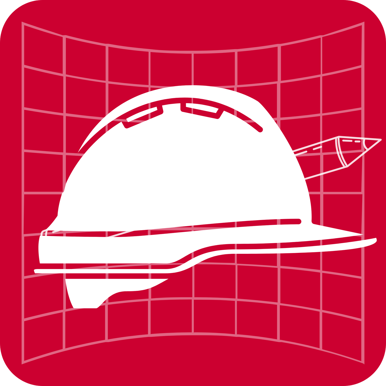Maestro Mayor de Obras